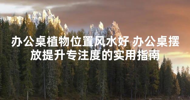 办公桌植物位置风水好 办公桌摆放提升专注度的实用指南